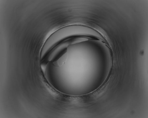 X0000091731242200708241405