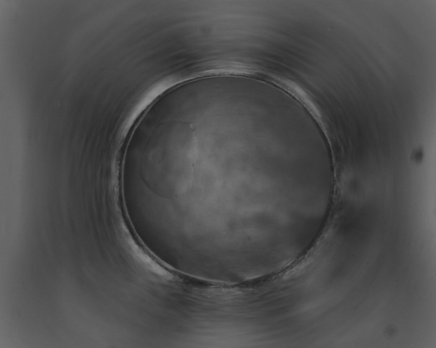 X0000091731243200708241405
