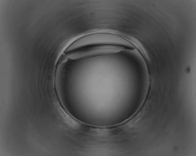 X0000091731244200708241405