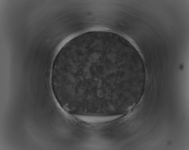 X0000091731245200708241405