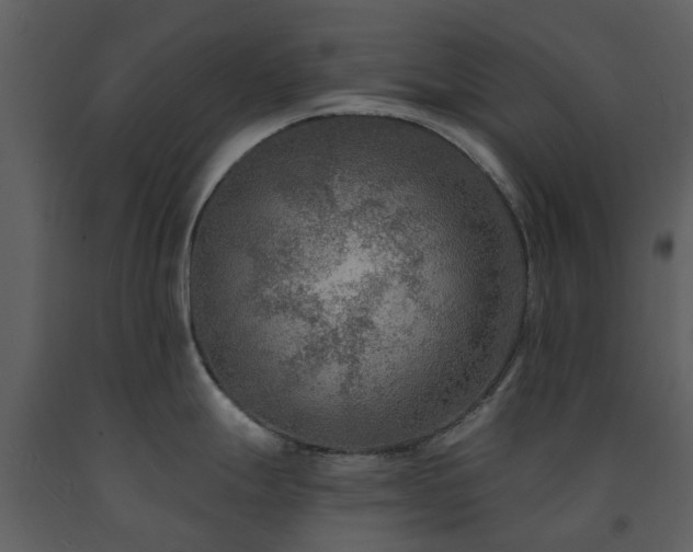 X0000091731247200708241405
