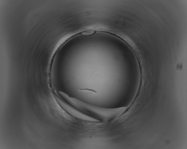 X0000091731248200708241405