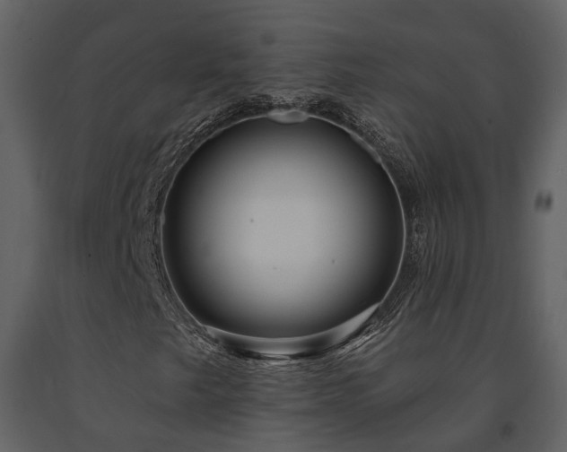X0000091731249200708241404