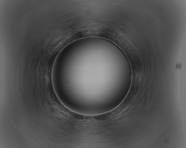 X0000091731250200708241404