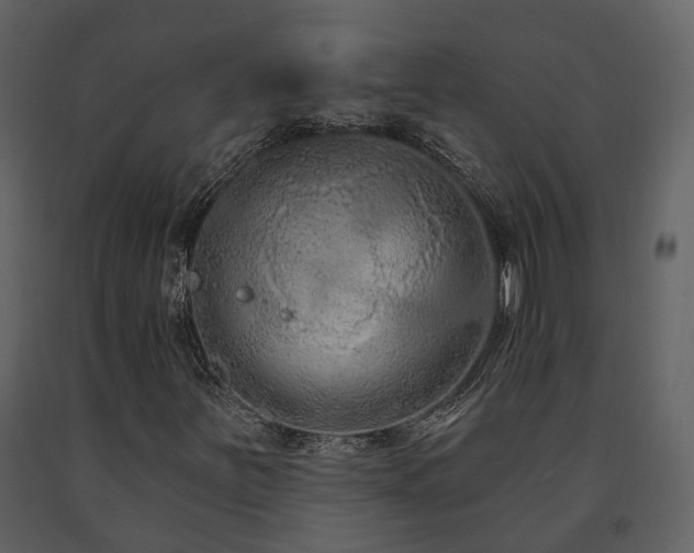 X0000091731251200708241404