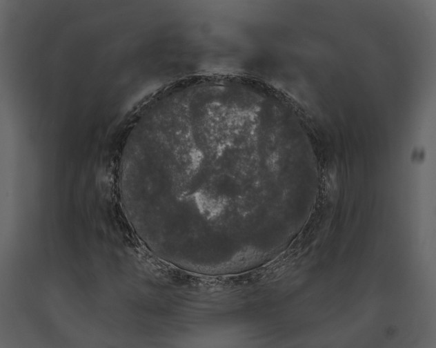 X0000091731254200708241404