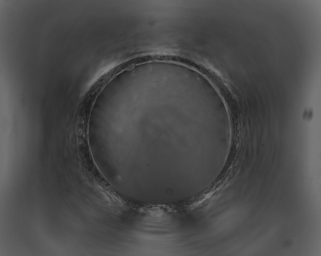 X0000091731255200708241404