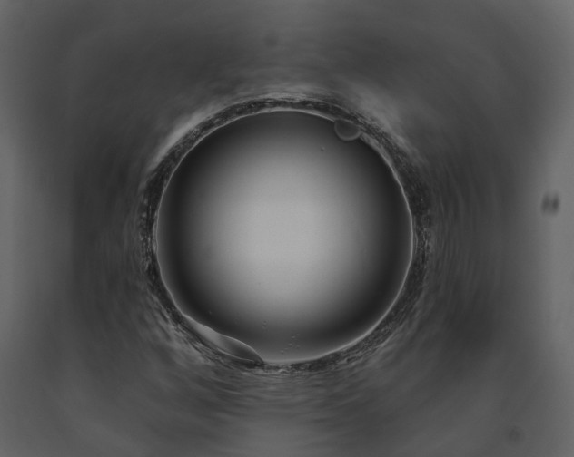 X0000091731256200708241404