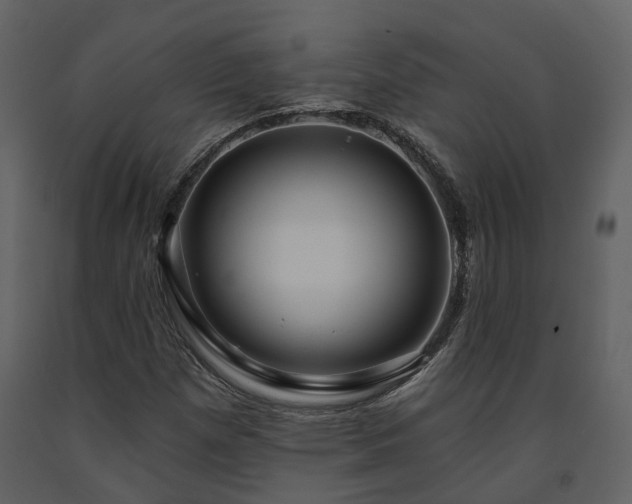 X0000091731257200708241404