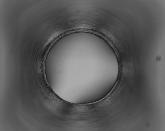 X0000091731258200708241404