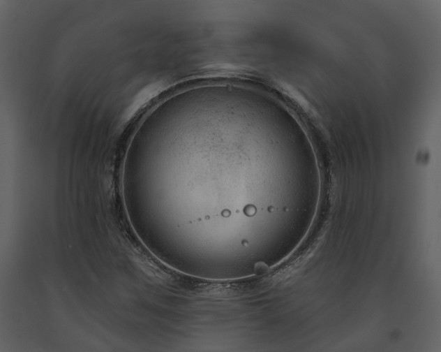 X0000091731259200708241404