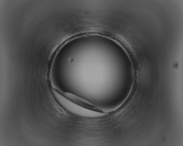 X0000091731260200708241404