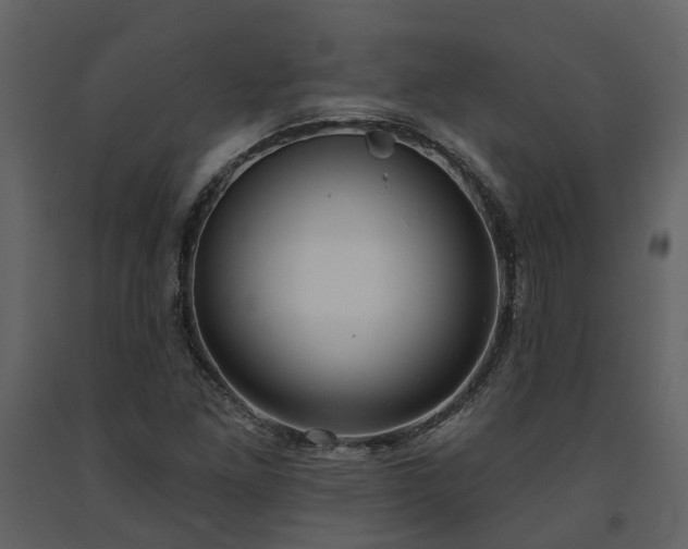 X0000091731261200708241404