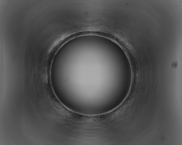 X0000091731262200708241404