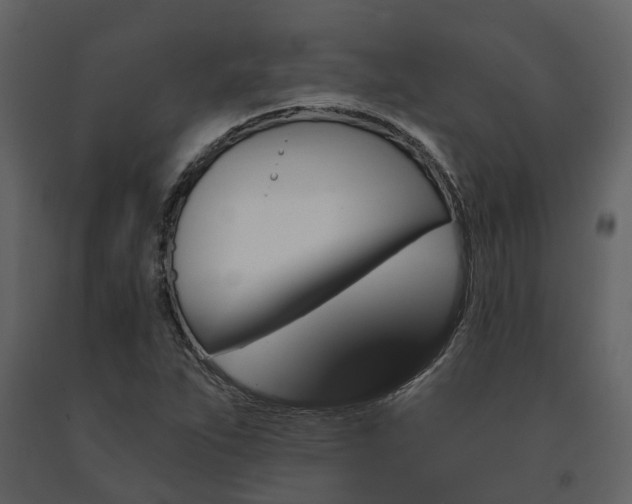 X0000091731263200708241404