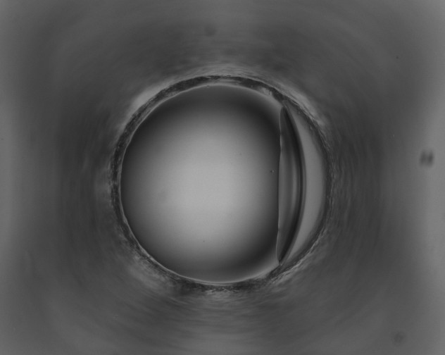 X0000091731264200708241404