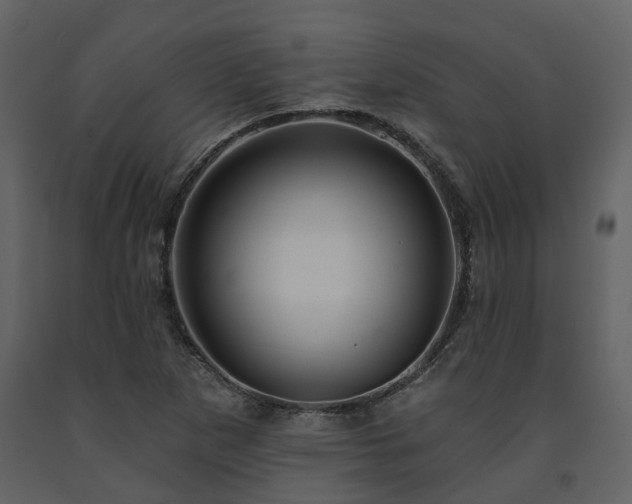 X0000091731265200708241404