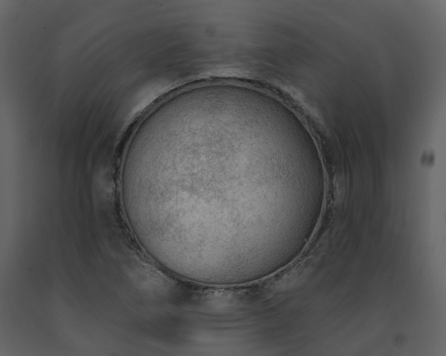 X0000091731266200708241404