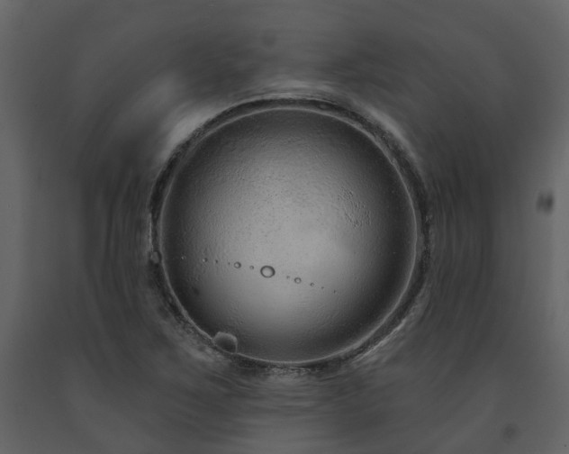 X0000091731267200708241404