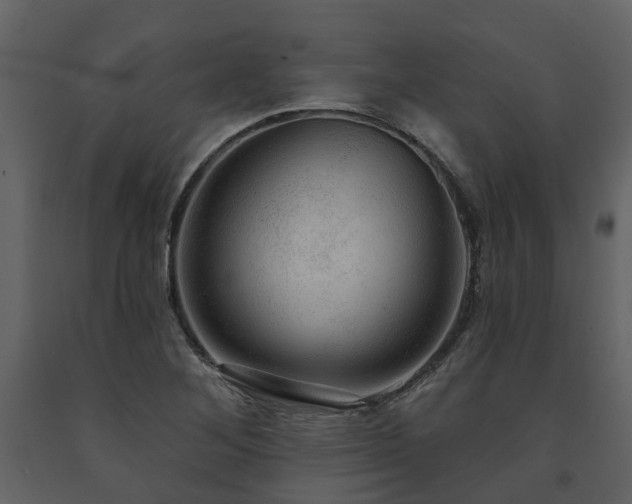 X0000091731268200708241404