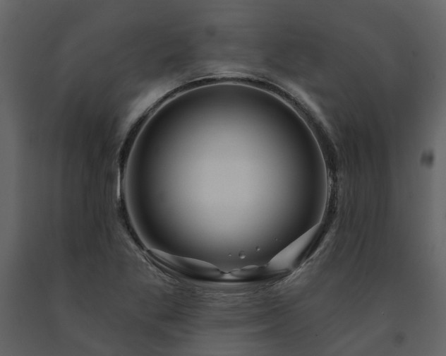 X0000091731269200708241404
