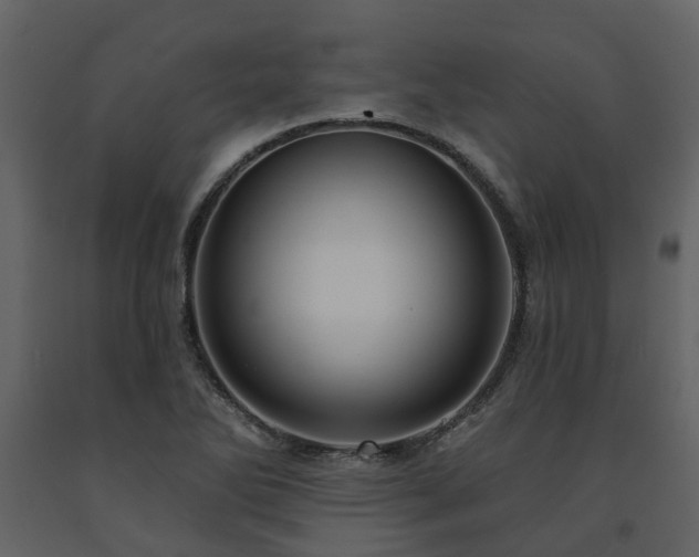 X0000091731270200708241404
