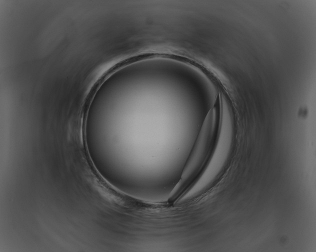 X0000091731272200708241404