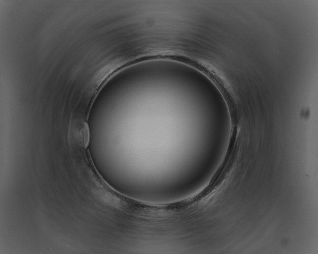 X0000091731273200708241404