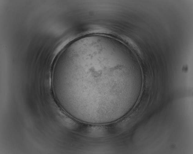X0000091731274200708241404