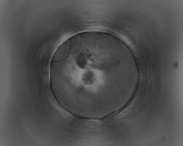 X0000091731275200708241404