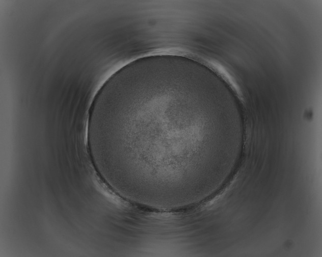 X0000091731276200708241404