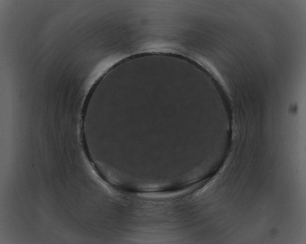 X0000091731277200708241404