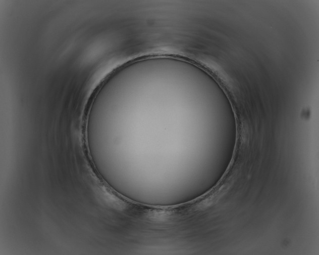X0000091731278200708241404