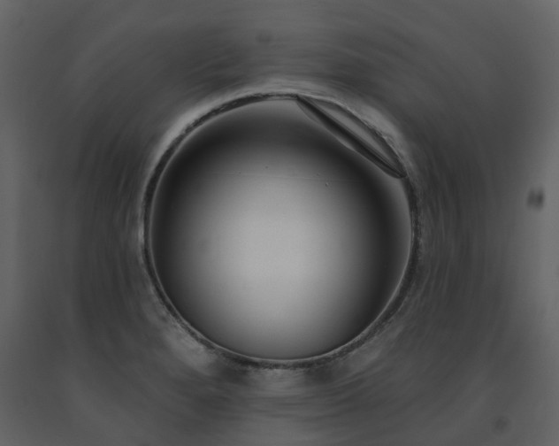 X0000091731280200708241404