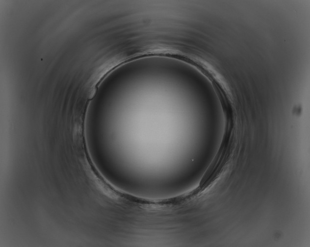 X0000091731281200708241404