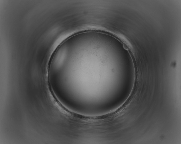 X0000091731287200708241404