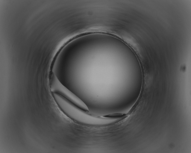 X0000091731288200708241404