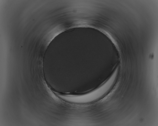 X0000091731289200708241404