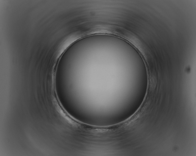 X0000091731290200708241404