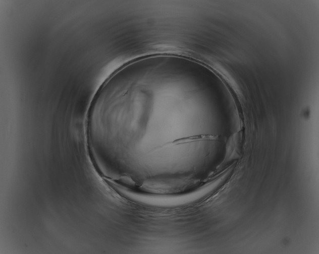 X0000091731291200708241404