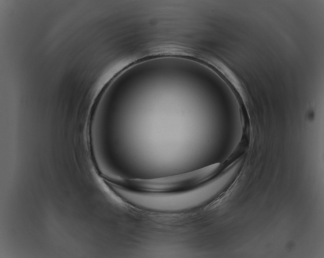 X0000091731293200708241404