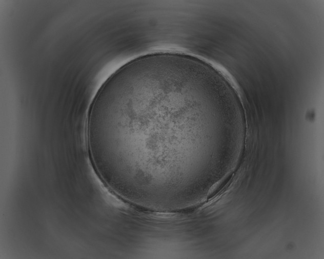 X0000091731295200708241404