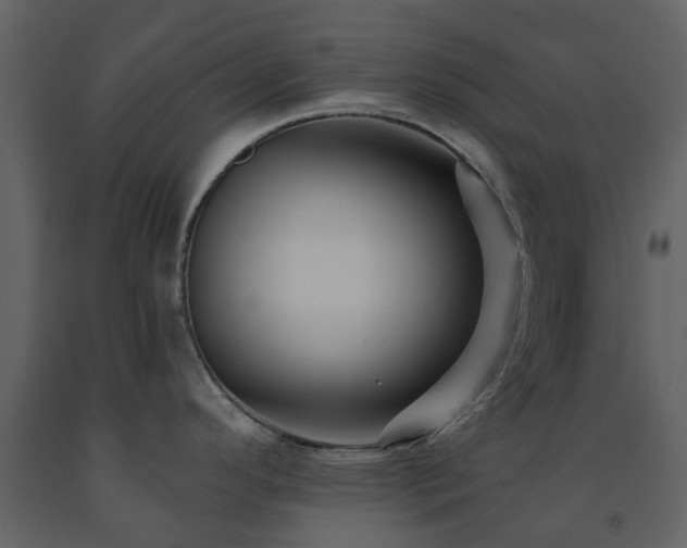 X0000091731296200708241404