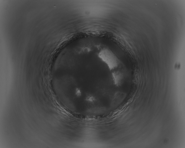 X0000091731297200708241403