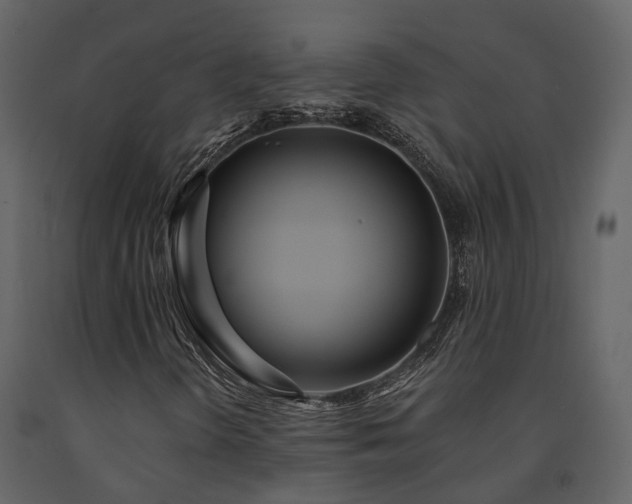 X0000091731298200708241403