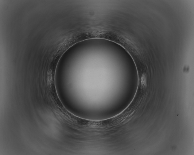X0000091731299200708241403