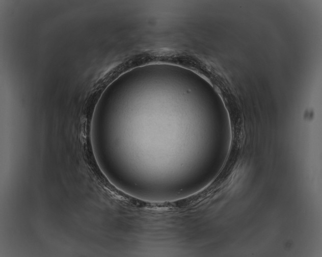 X0000091731301200708241403