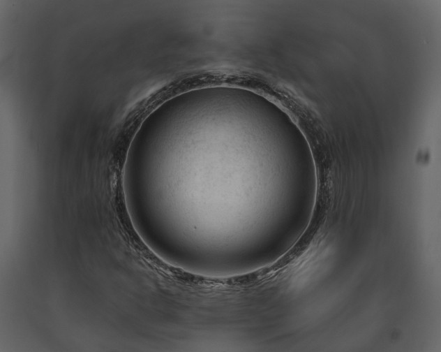 X0000091731302200708241403