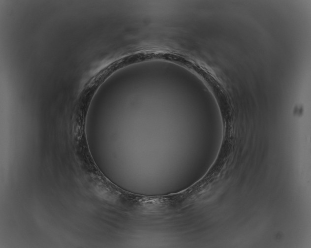 X0000091731303200708241403