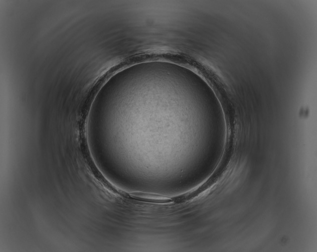 X0000091731305200708241403